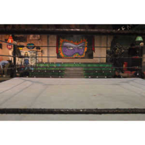 My third time shooting Freakshow Wrestling.  My last one in California.