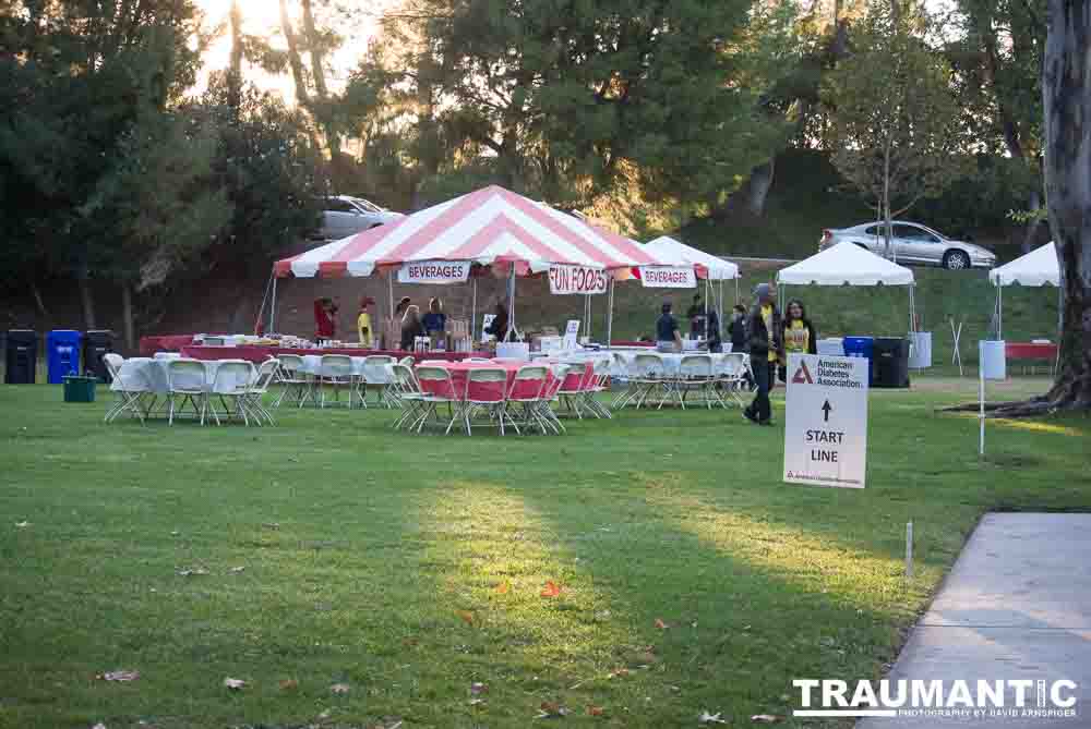 2012 - Step Out: Walk To Stop Diabetes Team Photos