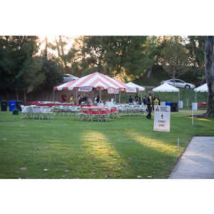 2012 - Step Out: Walk To Stop Diabetes Team Photos