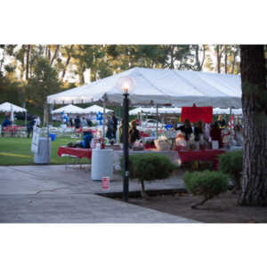 2012 - Step Out: Walk To Stop Diabetes Team Photos