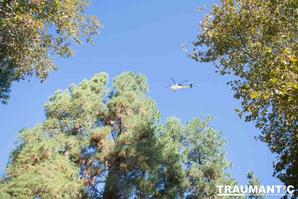 2012 - Step Out: Walk To Stop Diabetes Team Photos