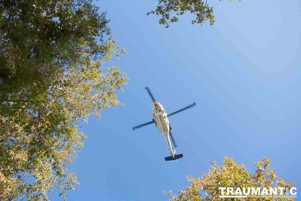 2012 - Step Out: Walk To Stop Diabetes Team Photos