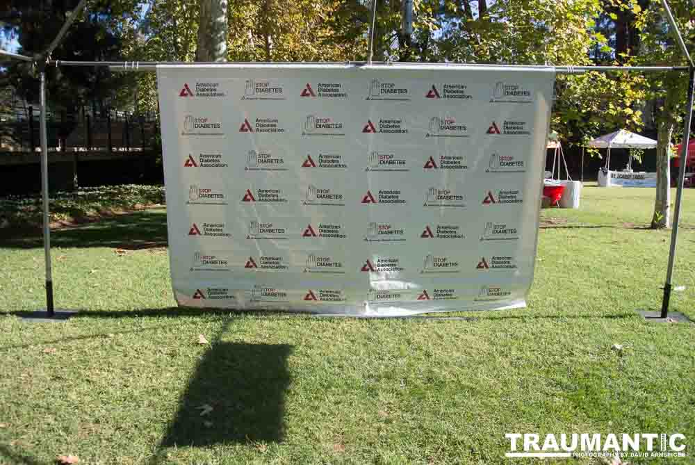 2012 - Step Out: Walk To Stop Diabetes Team Photos