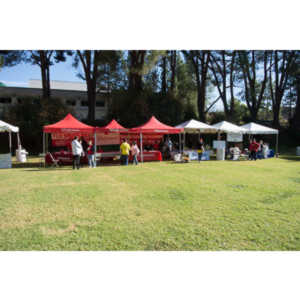 2012 - Step Out: Walk To Stop Diabetes Team Photos