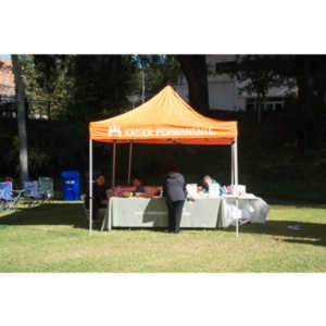 2012 - Step Out: Walk To Stop Diabetes Team Photos