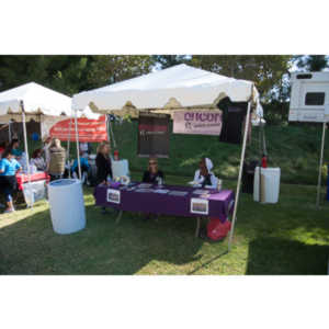 2012 - Step Out: Walk To Stop Diabetes Team Photos