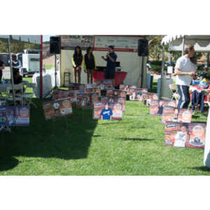 2012 - Step Out: Walk To Stop Diabetes Team Photos