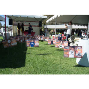 2012 - Step Out: Walk To Stop Diabetes Team Photos