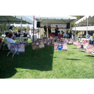 2012 - Step Out: Walk To Stop Diabetes Team Photos