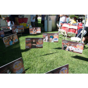 2012 - Step Out: Walk To Stop Diabetes Team Photos