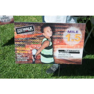 2012 - Step Out: Walk To Stop Diabetes Team Photos