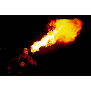 My buddy Warren Ross used on of my pictures to help promote a business in Las Vegas called Cariba Charlie's.  The Billboard was rather prominent on Flamingo Boulevard.  There were three versions over time featuring my images.  I am very proud of the fact that they were there.