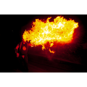 My buddy Warren Ross used on of my pictures to help promote a business in Las Vegas called Cariba Charlie's.  The Billboard was rather prominent on Flamingo Boulevard.  There were three versions over time featuring my images.  I am very proud of the fact that they were there.