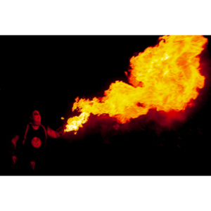 My buddy Warren Ross used on of my pictures to help promote a business in Las Vegas called Cariba Charlie's.  The Billboard was rather prominent on Flamingo Boulevard.  There were three versions over time featuring my images.  I am very proud of the fact that they were there.