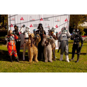 20131020-StepOut-1068