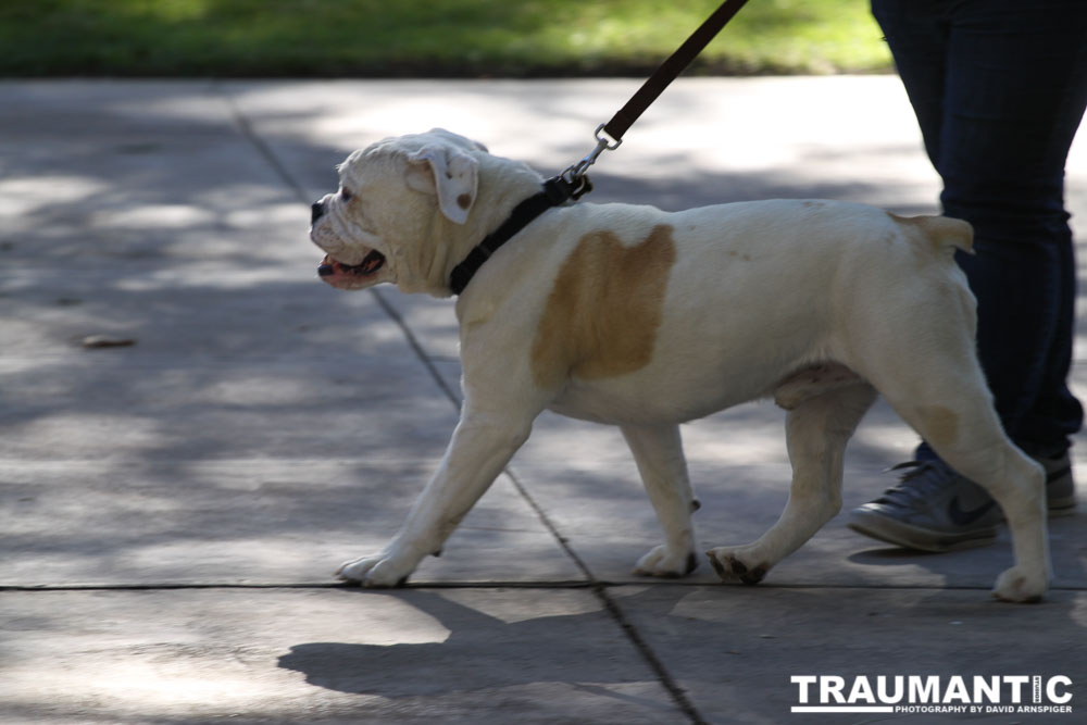 20131020-StepOutCandids-1016