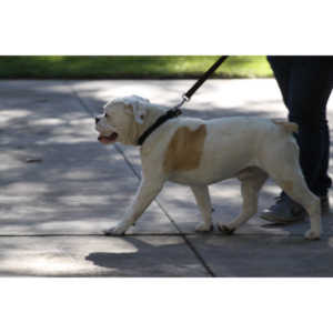 20131020-StepOutCandids-1016