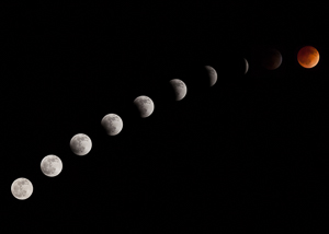 I made an attempt to shoot the Blood Moon eclipse.  I did a good job on the phases of the eclipse leading up to the blood moon, but my shots of the glowing orange sphere were off because my settings were screwy.  I have my ISO pumped up way too high.  I apparently get another crack at one of these in the fall, so I will plan ahead for it.