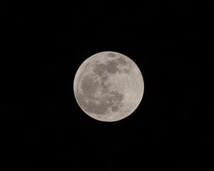 I made an attempt to shoot the Blood Moon eclipse.  I did a good job on the phases of the eclipse leading up to the blood moon, but my shots of the glowing orange sphere were off because my settings were screwy.  I have my ISO pumped up way too high.  I apparently get another crack at one of these in the fall, so I will plan ahead for it.