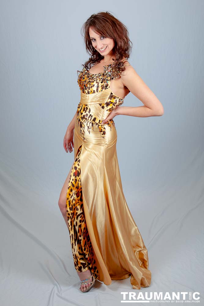 Photograph 7 beautiful women in gorgeous gowns and lingerie?  All right, if I have to.