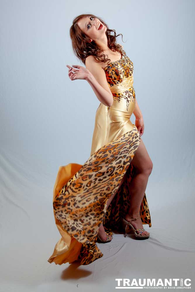 Photograph 7 beautiful women in gorgeous gowns and lingerie?  All right, if I have to.