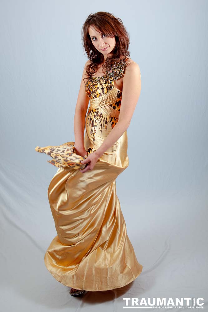 Photograph 7 beautiful women in gorgeous gowns and lingerie?  All right, if I have to.