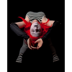 Polly is a beautiful and fearsome creature.