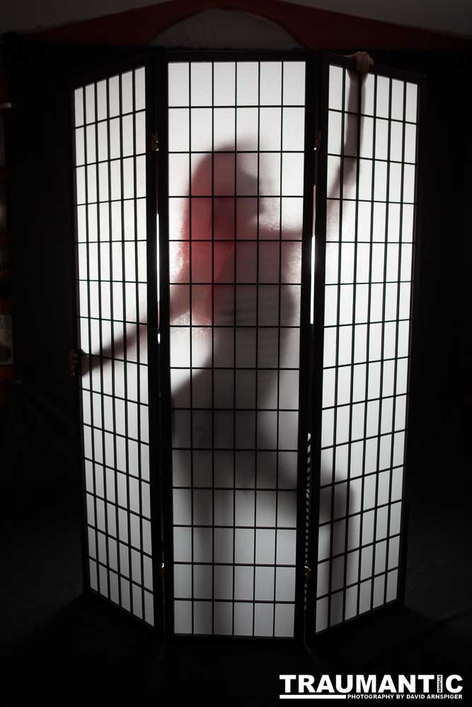 Polly is a beautiful and fearsome creature.