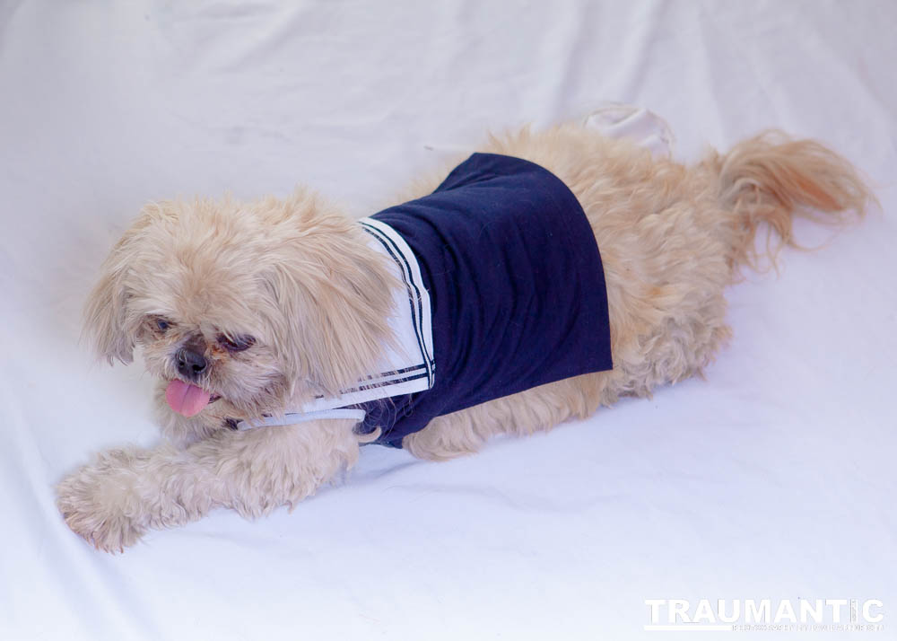 Penni wanted some cute shots of her and her dog Thor.  We got 'em.