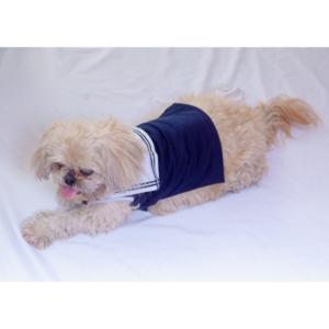 Penni wanted some cute shots of her and her dog Thor.  We got 'em.