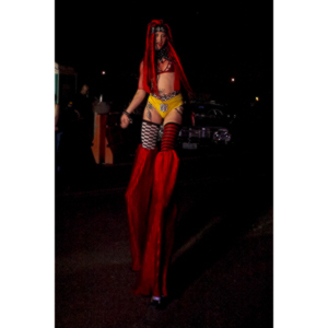 Photos from the Freakshow Wrestling End of The World Party held on August 29th, 2014.