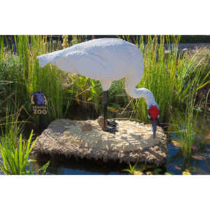 My family made a trip to the Denver Zoo.  I had a secondary motive, shooting some pics of the LEGO exhibit.  They had some very cool displays and I thought I would share some of the shots here.