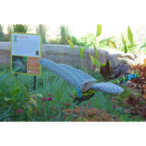 My family made a trip to the Denver Zoo.  I had a secondary motive, shooting some pics of the LEGO exhibit.  They had some very cool displays and I thought I would share some of the shots here.