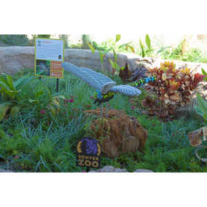 My family made a trip to the Denver Zoo.  I had a secondary motive, shooting some pics of the LEGO exhibit.  They had some very cool displays and I thought I would share some of the shots here.