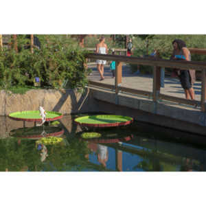 My family made a trip to the Denver Zoo.  I had a secondary motive, shooting some pics of the LEGO exhibit.  They had some very cool displays and I thought I would share some of the shots here.