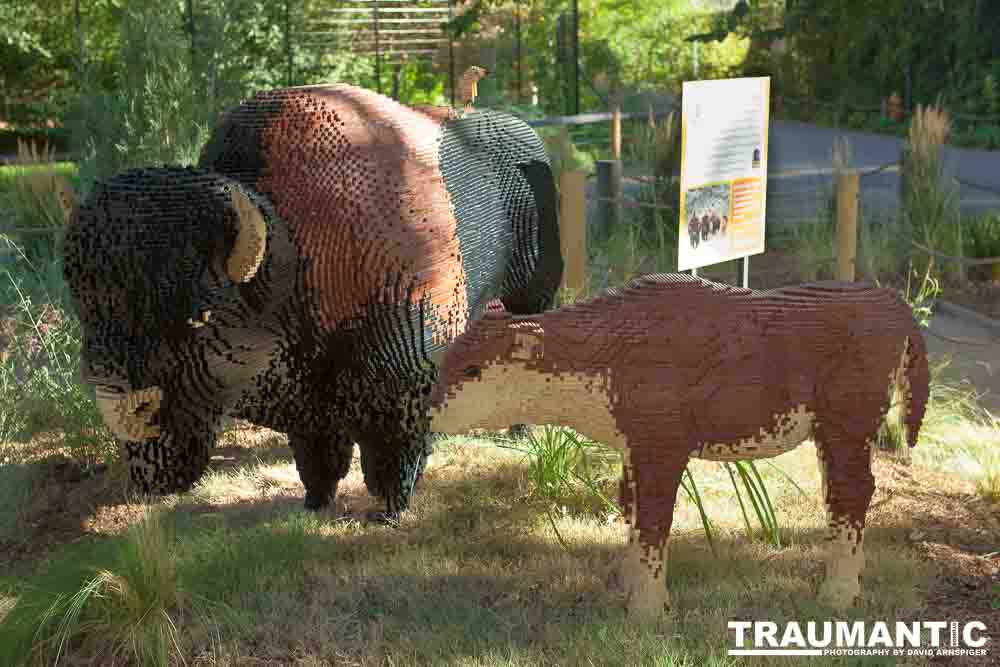 My family made a trip to the Denver Zoo.  I had a secondary motive, shooting some pics of the LEGO exhibit.  They had some very cool displays and I thought I would share some of the shots here.