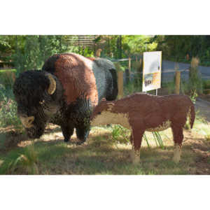 My family made a trip to the Denver Zoo.  I had a secondary motive, shooting some pics of the LEGO exhibit.  They had some very cool displays and I thought I would share some of the shots here.