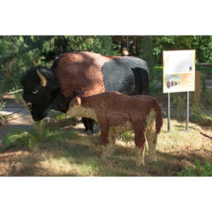 My family made a trip to the Denver Zoo.  I had a secondary motive, shooting some pics of the LEGO exhibit.  They had some very cool displays and I thought I would share some of the shots here.