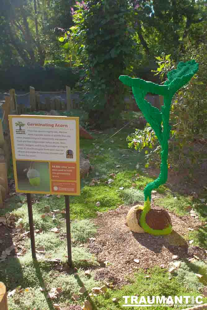 My family made a trip to the Denver Zoo.  I had a secondary motive, shooting some pics of the LEGO exhibit.  They had some very cool displays and I thought I would share some of the shots here.