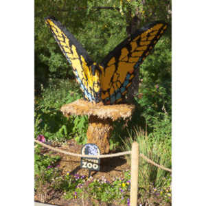 My family made a trip to the Denver Zoo.  I had a secondary motive, shooting some pics of the LEGO exhibit.  They had some very cool displays and I thought I would share some of the shots here.