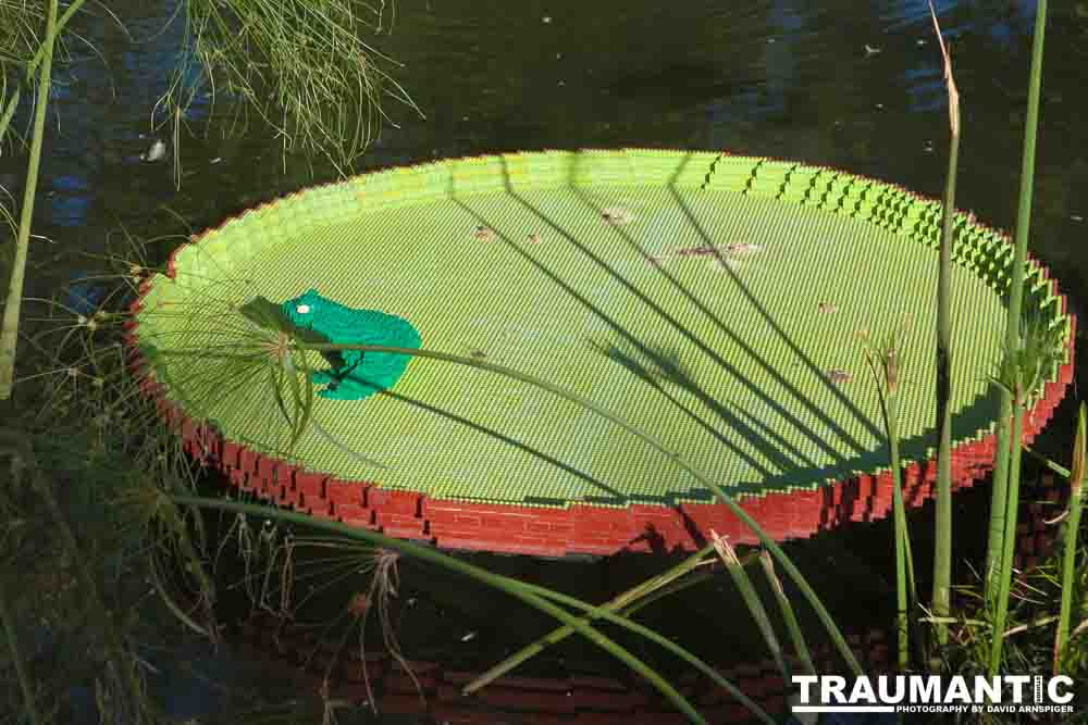 My family made a trip to the Denver Zoo.  I had a secondary motive, shooting some pics of the LEGO exhibit.  They had some very cool displays and I thought I would share some of the shots here.