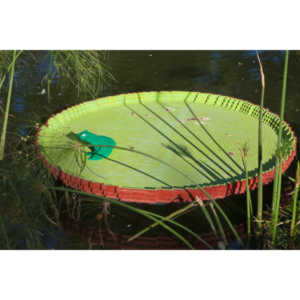 My family made a trip to the Denver Zoo.  I had a secondary motive, shooting some pics of the LEGO exhibit.  They had some very cool displays and I thought I would share some of the shots here.