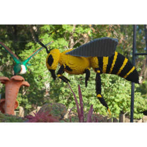 My family made a trip to the Denver Zoo.  I had a secondary motive, shooting some pics of the LEGO exhibit.  They had some very cool displays and I thought I would share some of the shots here.