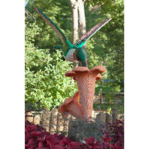 My family made a trip to the Denver Zoo.  I had a secondary motive, shooting some pics of the LEGO exhibit.  They had some very cool displays and I thought I would share some of the shots here.