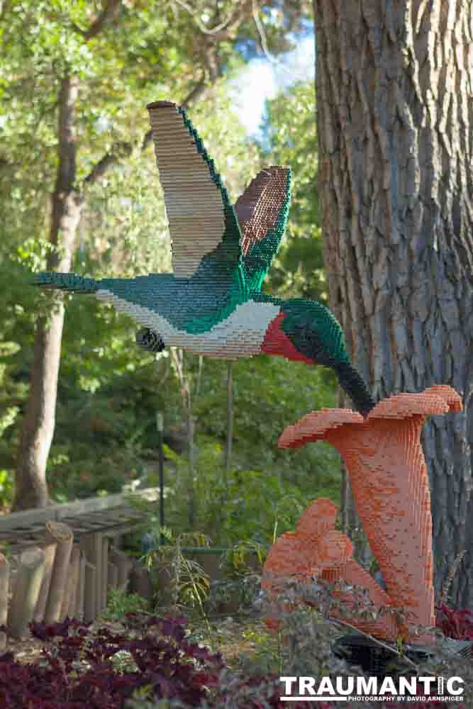 My family made a trip to the Denver Zoo.  I had a secondary motive, shooting some pics of the LEGO exhibit.  They had some very cool displays and I thought I would share some of the shots here.