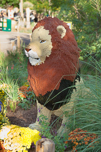 My family made a trip to the Denver Zoo.  I had a secondary motive, shooting some pics of the LEGO exhibit.  They had some very cool displays and I thought I would share some of the shots here.