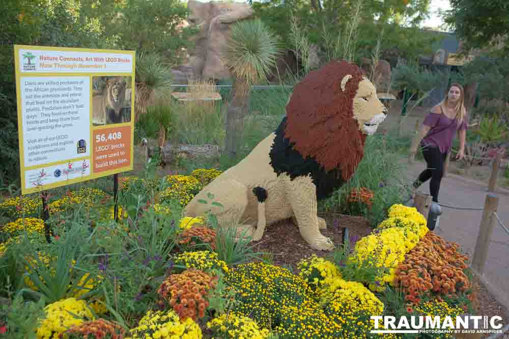 My family made a trip to the Denver Zoo.  I had a secondary motive, shooting some pics of the LEGO exhibit.  They had some very cool displays and I thought I would share some of the shots here.