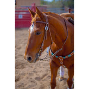 Beautiful women on horseback, count me in.