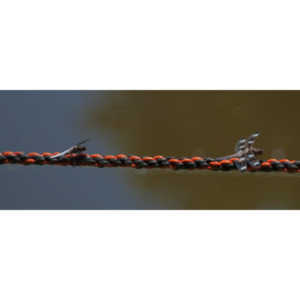 I found a great pond full of lily pads, frogs and dragonflies.