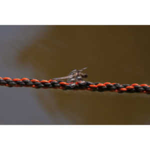 I found a great pond full of lily pads, frogs and dragonflies.